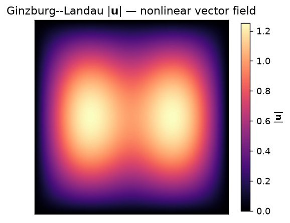 Computed Ginzburg–Landau vector-field magnitude.